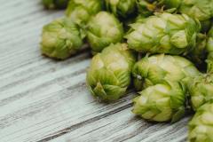 markus-spiske-bNRmKalNsJc-unsplash